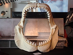 007 Cranbrook Institute of Science [2008 Jan 02]